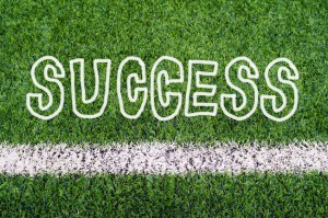 Soccer field grass
